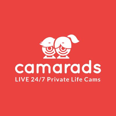 Camarads • Watch the private life of other people live